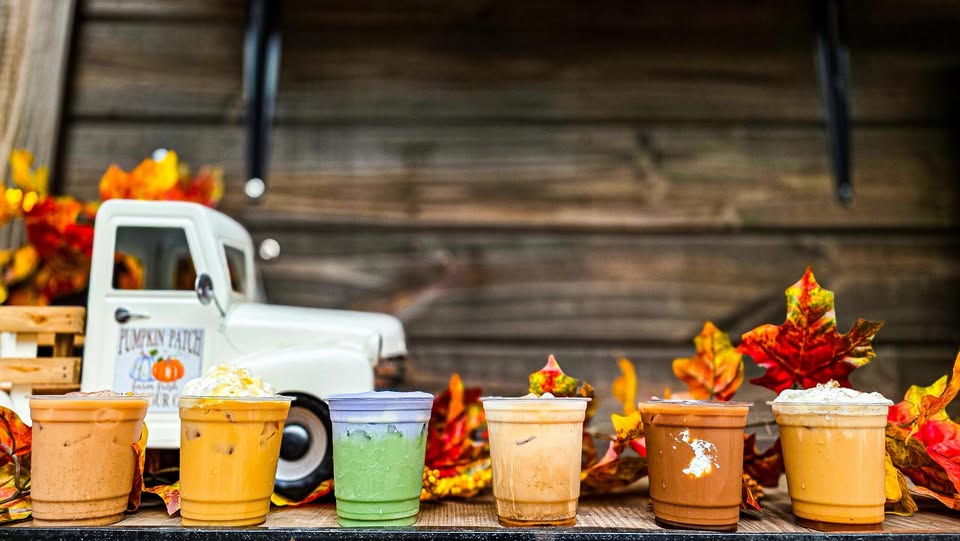 Vixen's Brew | Springfield MO cover